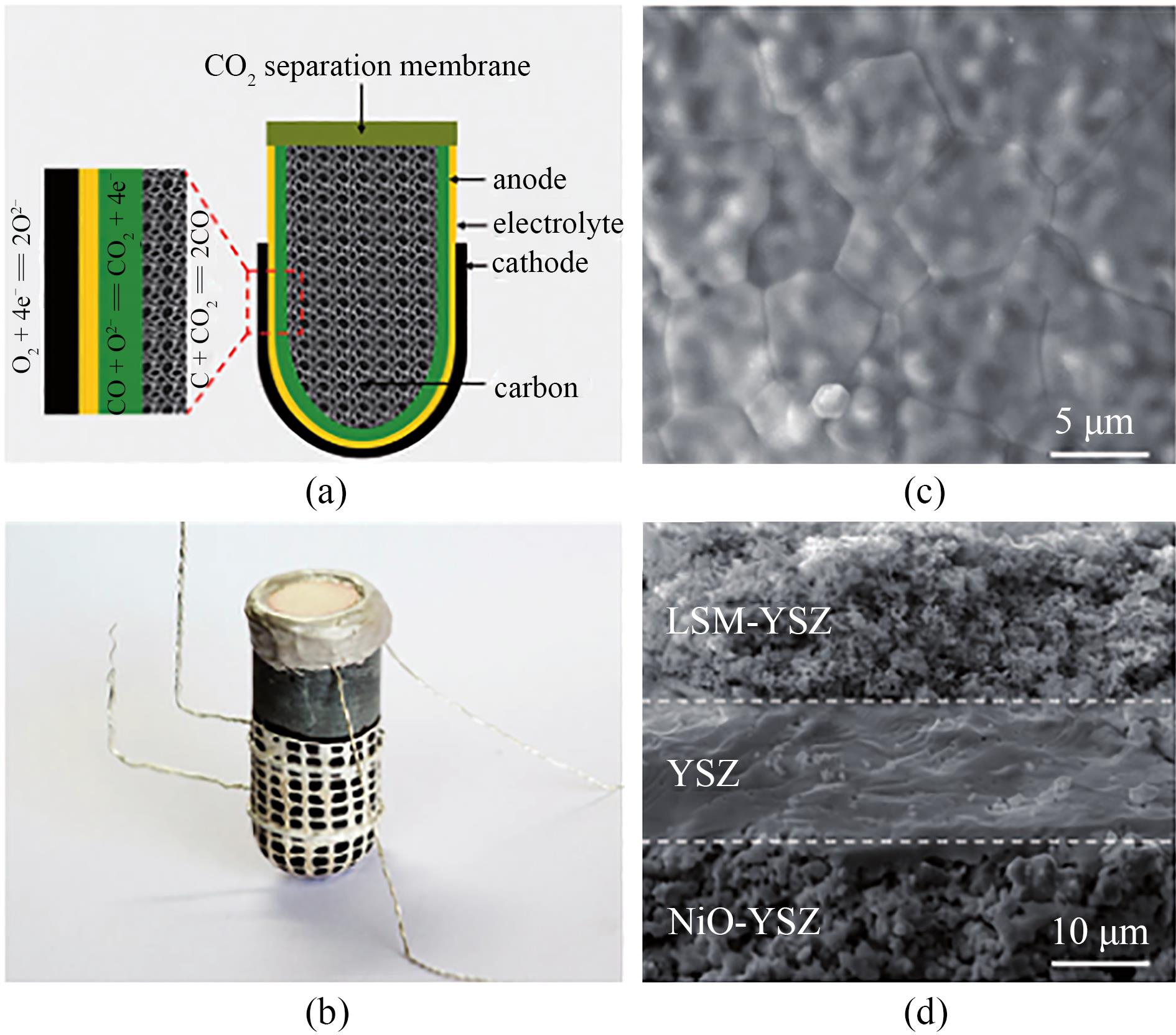 Progress of structure for carbon-fueled solid oxide fuel cells